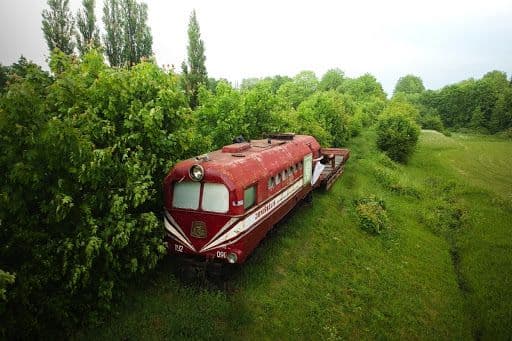 Joniškėlio siaurukas #2