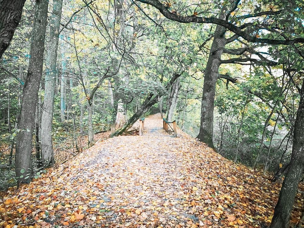 Gelgaudiškio pažintinis takas #5