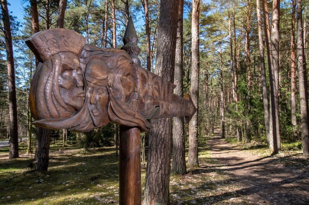 Kulautuvos pėsčiųjų takai #4