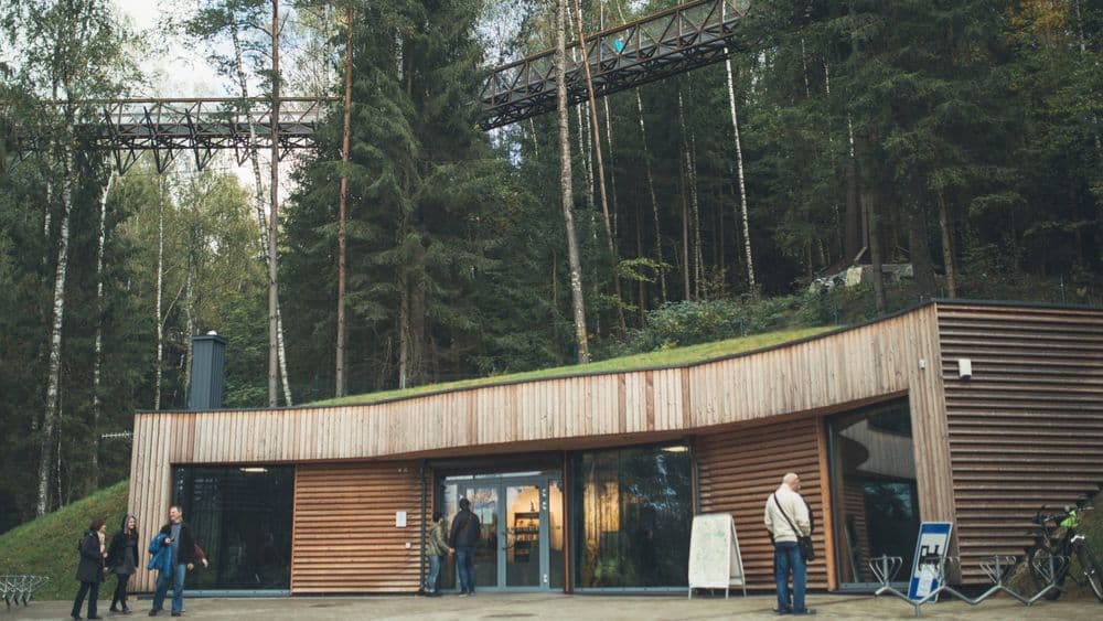 Medžių lajų takas #4