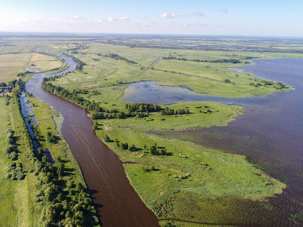 Krokų lankos ežeras