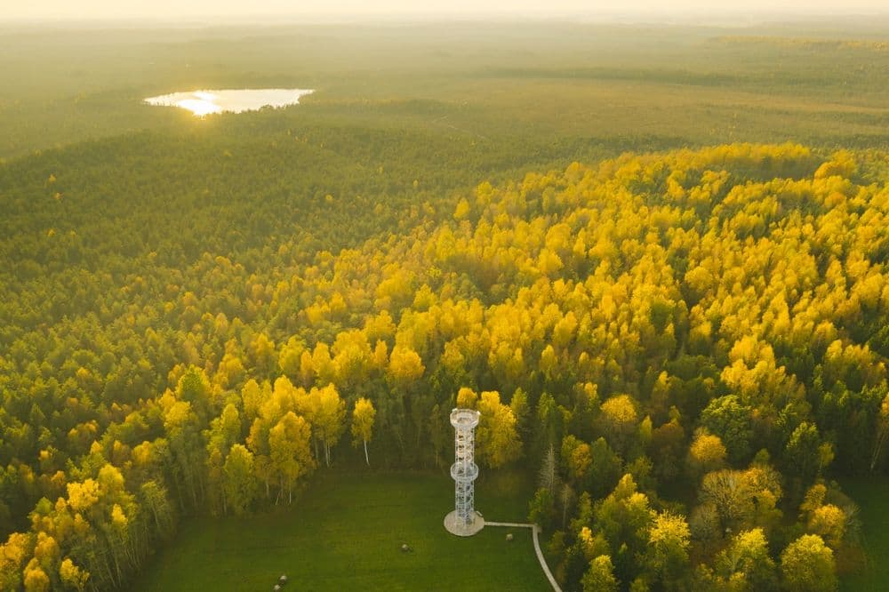 Kamanų mokomasis takas