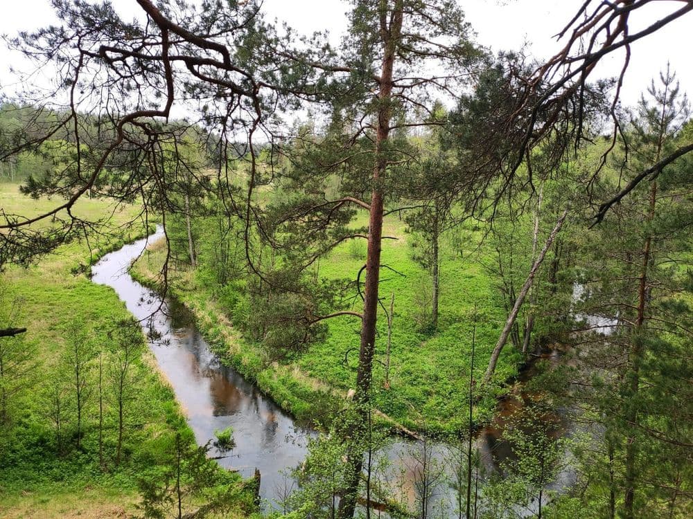 Zackagirio pažintinis takas