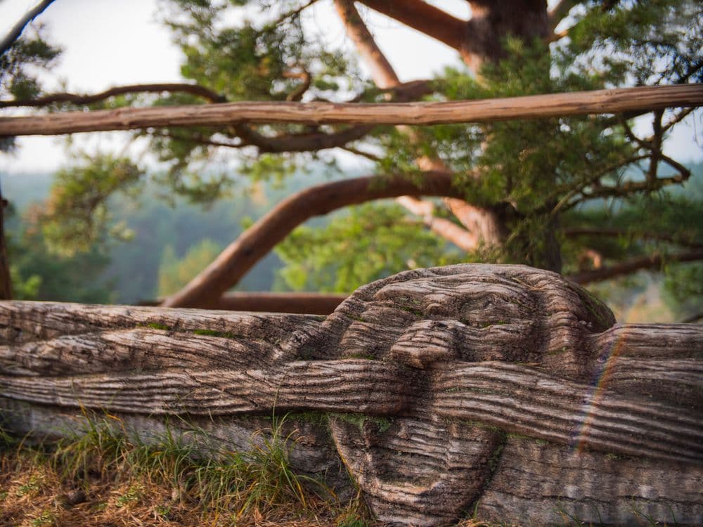 Avino kalnas (Avikalnis) #4