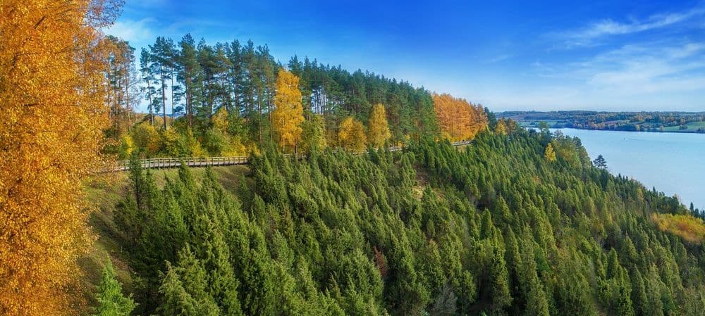 Arlaviškių pažintinis takas (Kadagių slėnis)