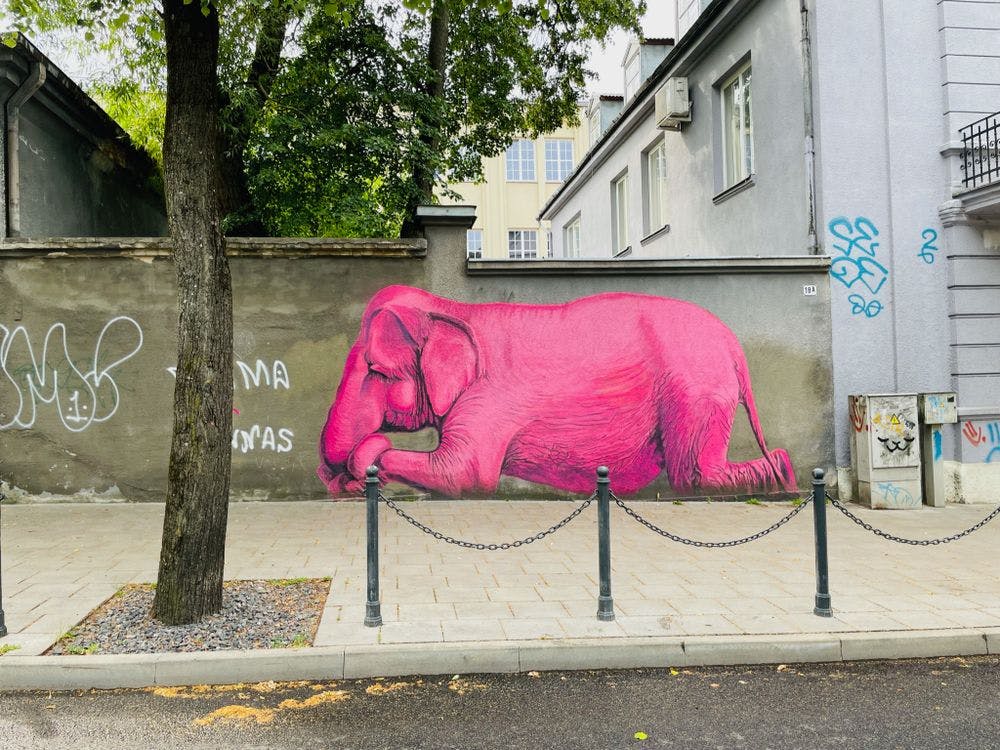 Grafitis „Rožinis dramblys" #2