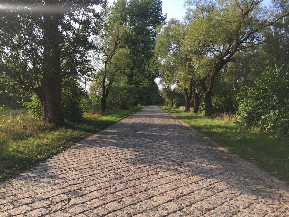 Senasis Vilniaus - Kauno traktas #4