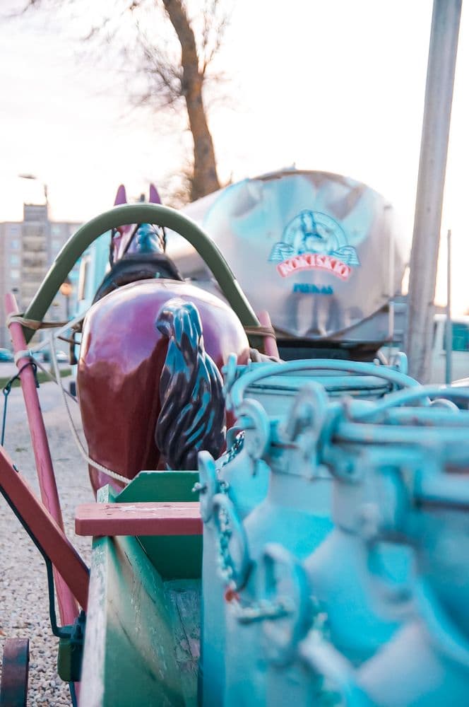 Pienovežių ekspozicija #3