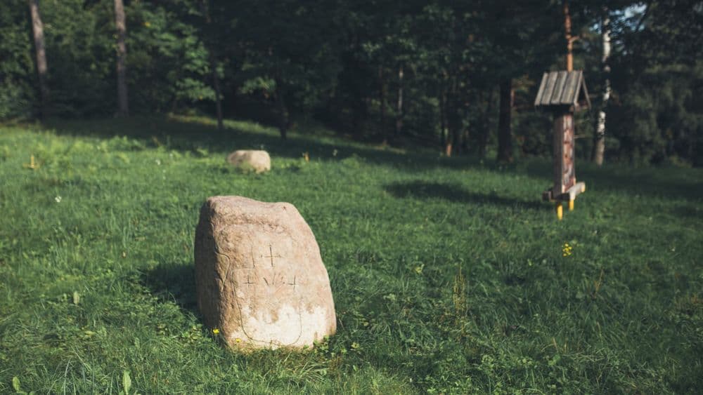 Naujosios Vilnios pilkapynas #5