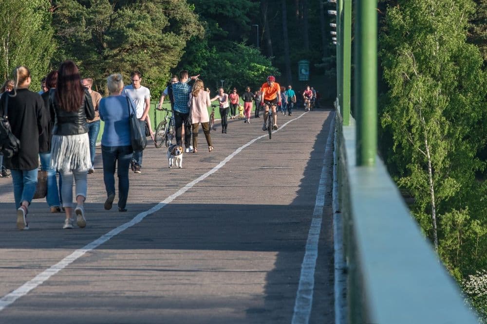 Panemunės šilas #5