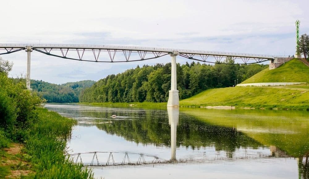 Baltosios rožės pėsčiųjų ir dviračių tiltas #3