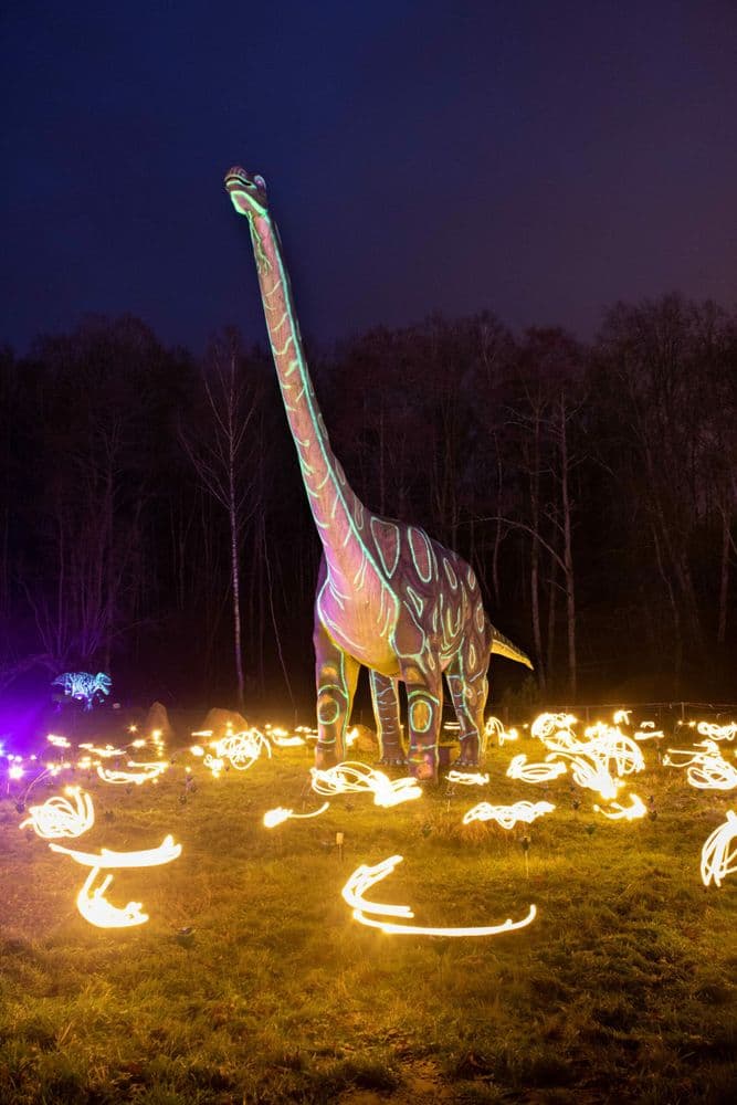 Dino parkas Radailiai #3