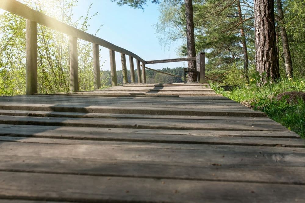 Škėvonių atodanga #5