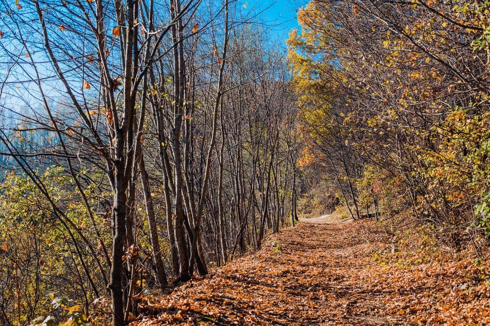 Dūkštos pažintinis takas #2