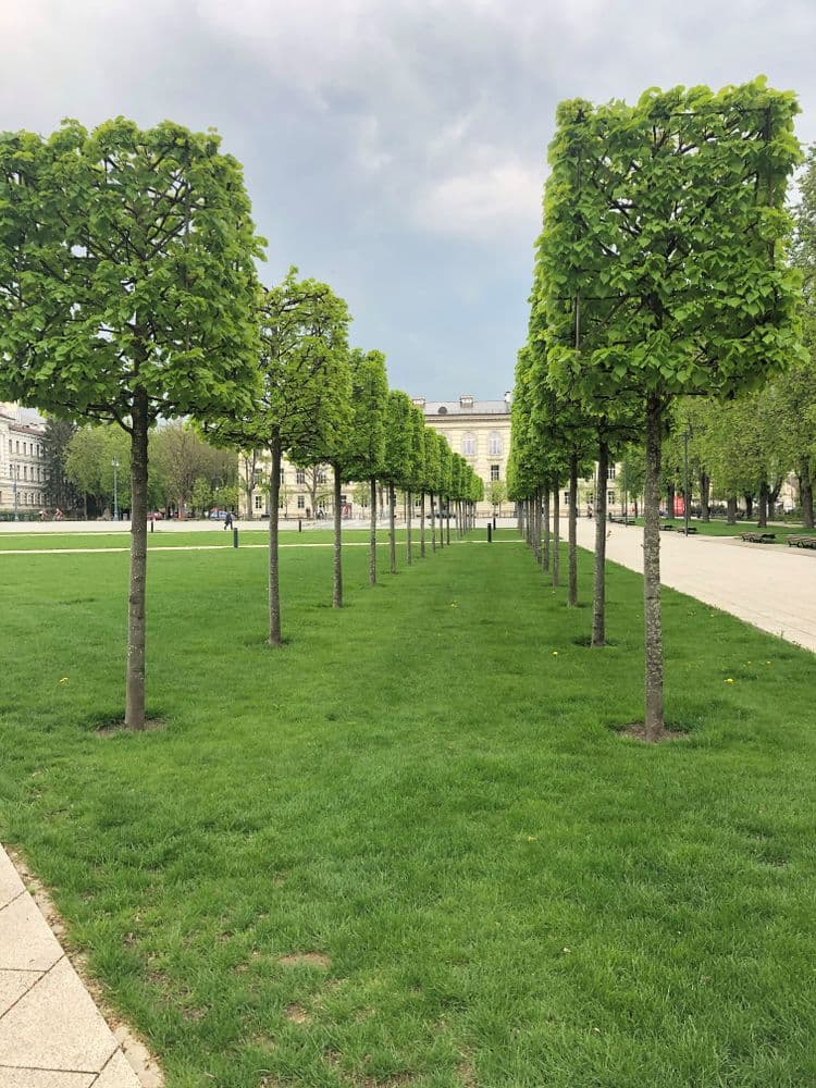 Lukiškių aikštė #2