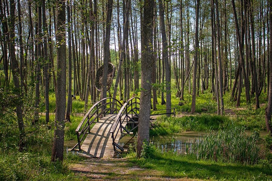 Klykūnų rekreacinė poilsiavietė #3