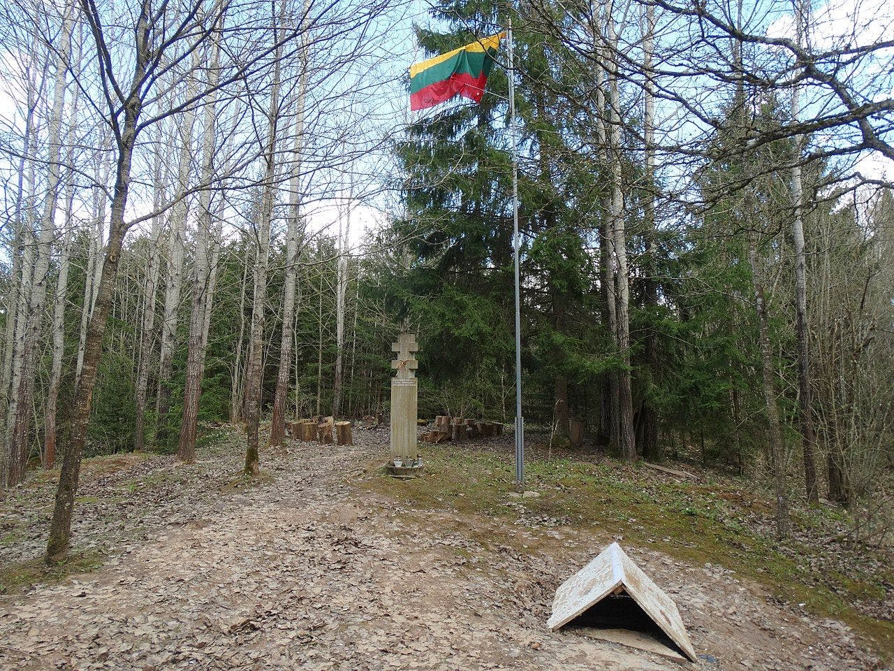 Daugėliškių miško bunkerio pažintinis takas #2