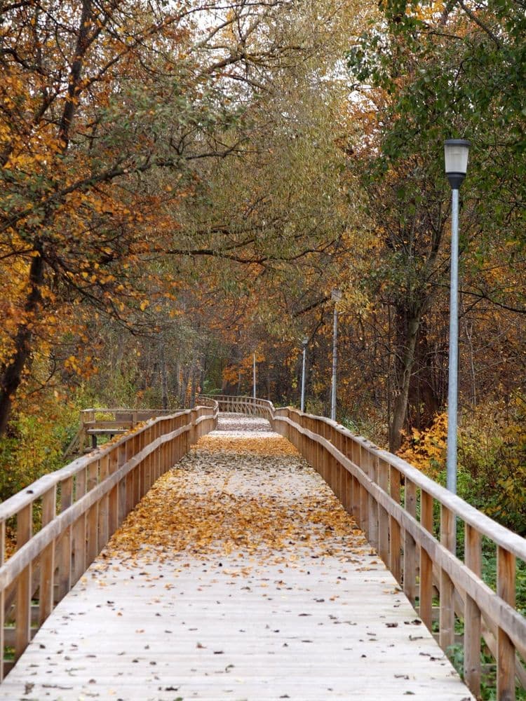 Šventosios kairiojo kranto sveikatingumo takas