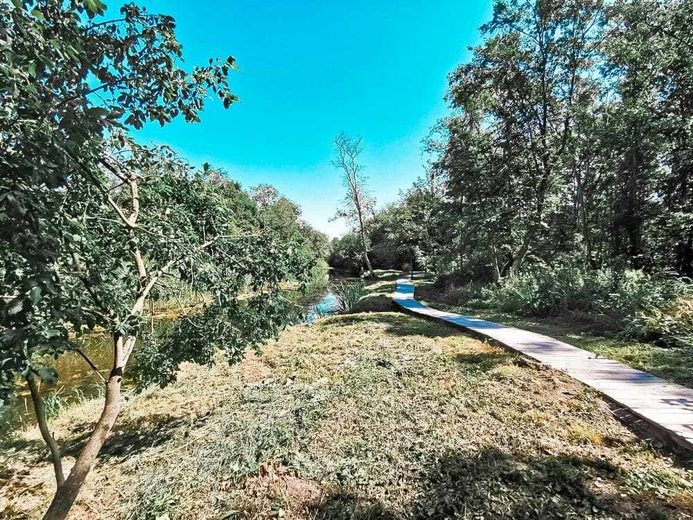 Auksinio elnio dvaras #3