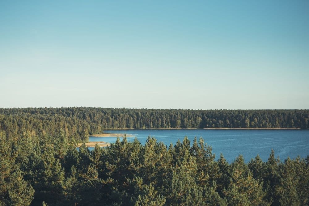 Labanoro regioninio parko (Mindūnų) apžvalgos bokštas #5