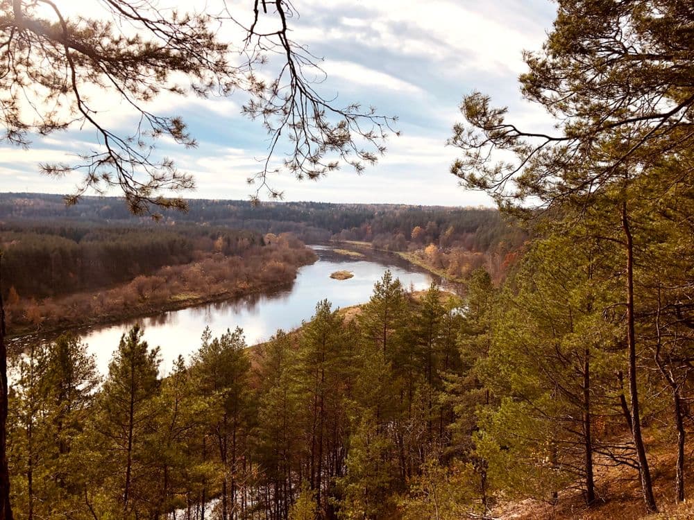 Paneriškių regykla #2