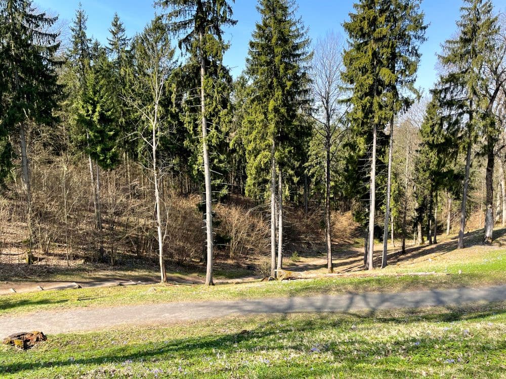 Strielčiukų žygtakis #5