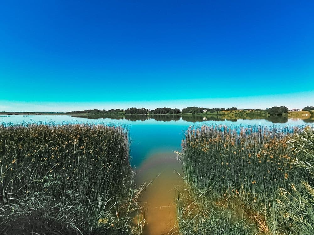 Kupiškio marių sala "Uošvės Liežuvis"