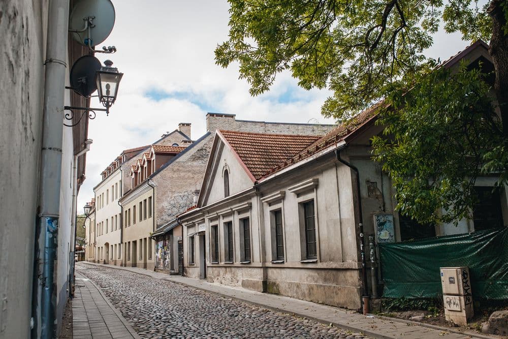 Jono Meko vizualiųjų menų centras #3