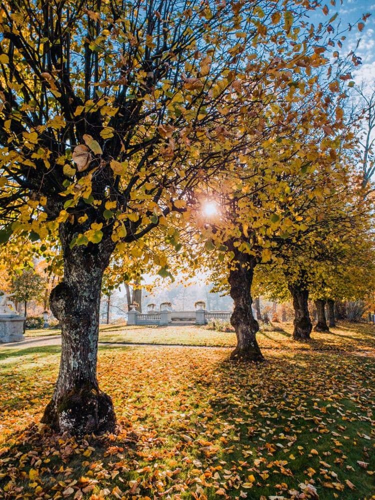 Užutrakio dvaro sodybos ansamblis #2