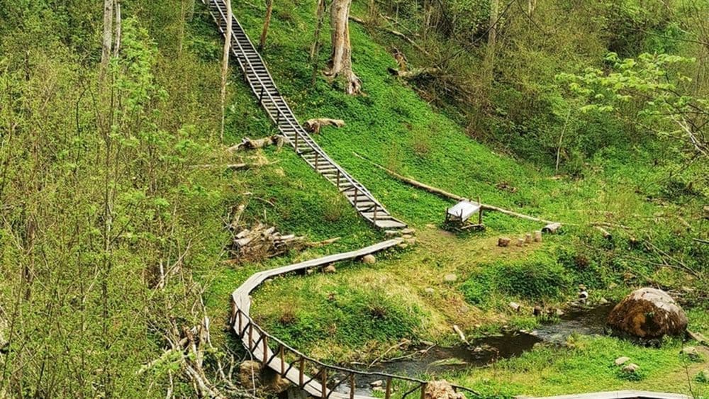 Jurkiškio upelio pažintinis takas #3