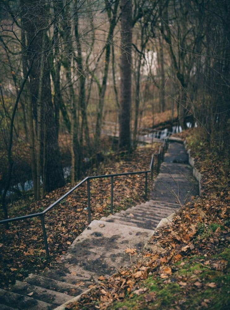 Senųjų kaimų takas