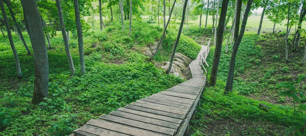 Pažintinis takas „Barsuko ola“