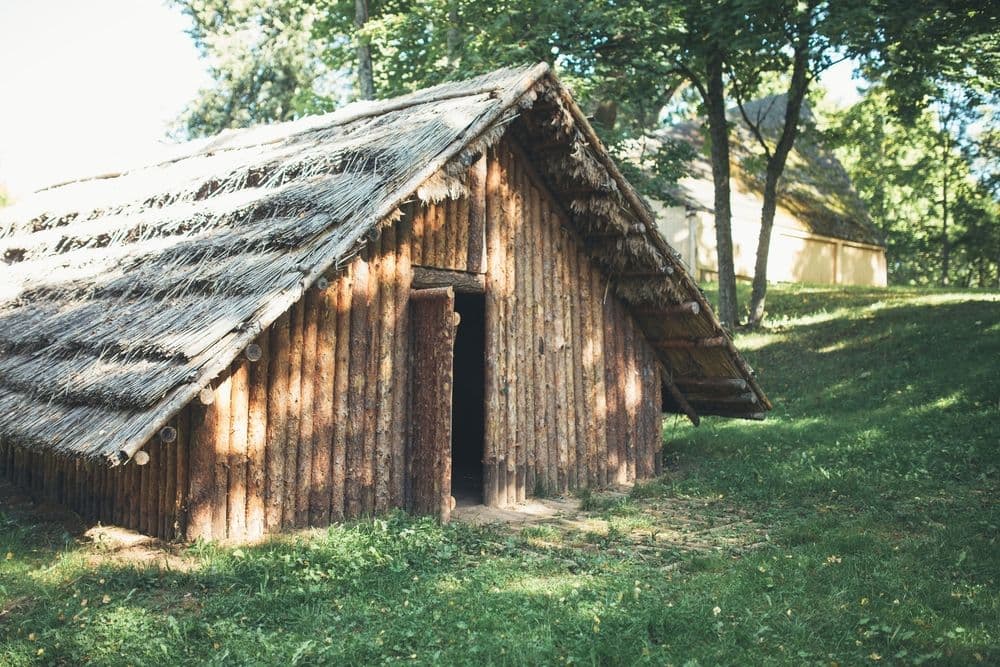 Pilkapio ekspozicija ir akmens amžiaus būstas Palūšėje #2