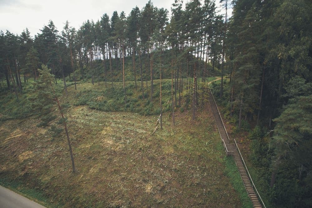 Ginučių piliakalnis #4