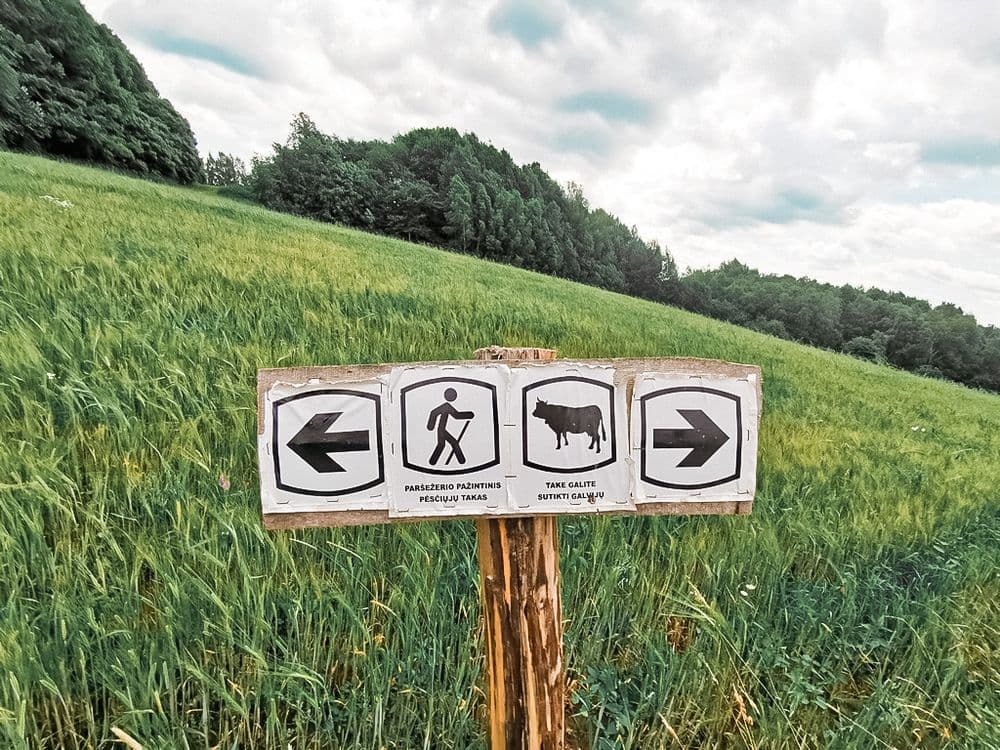 Paršežerio pėsčiųjų pažintinis takas #2