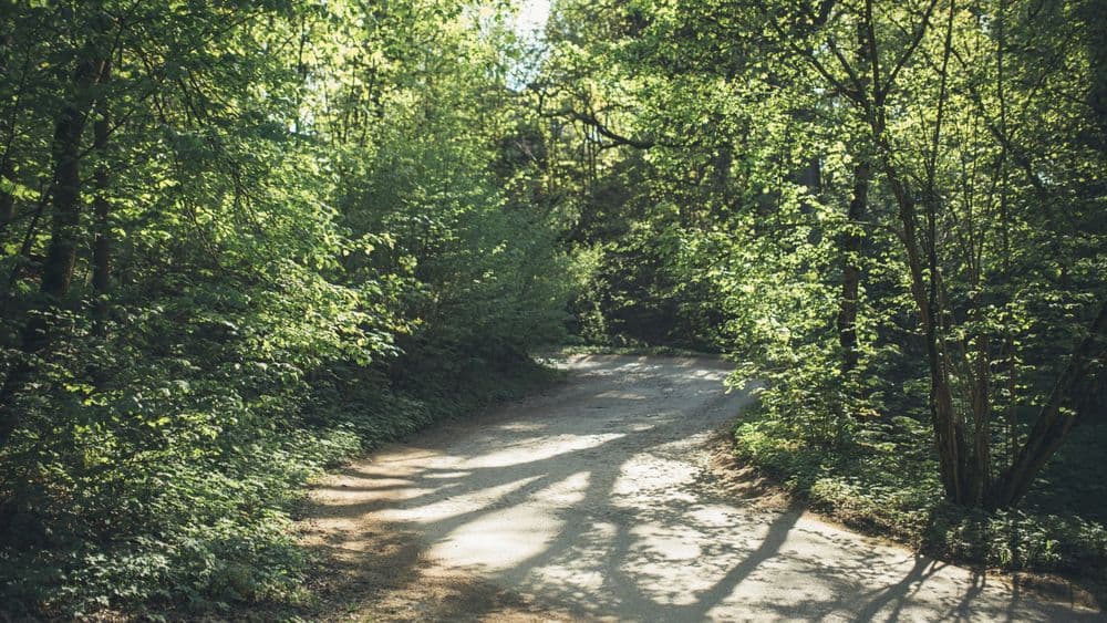 Tuputiškių serpantinas #3