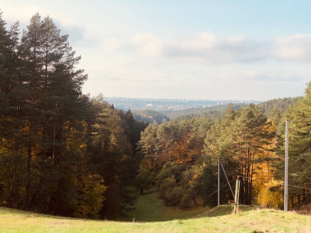 Rokantiškių regykla #3