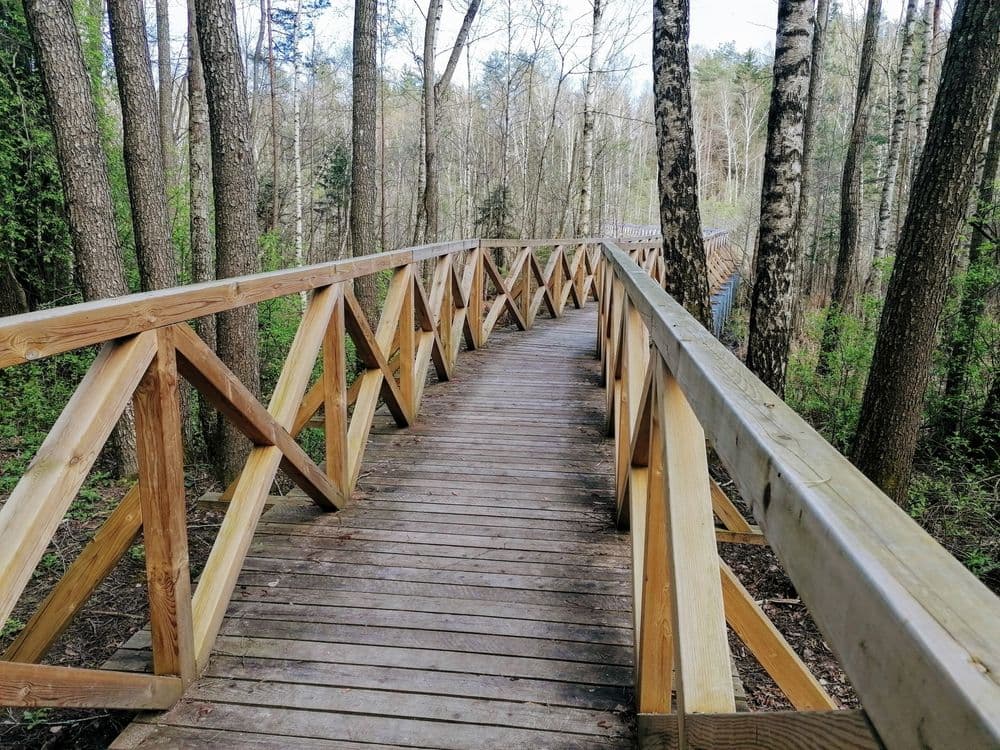 Pažintinis takas link Kačėniškės piliakalnio