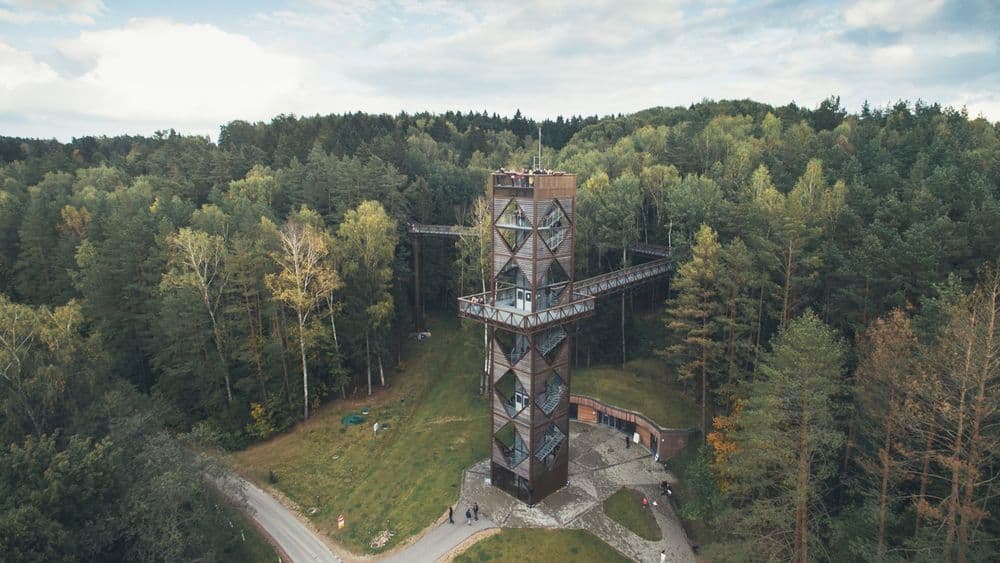 Medžių lajų takas