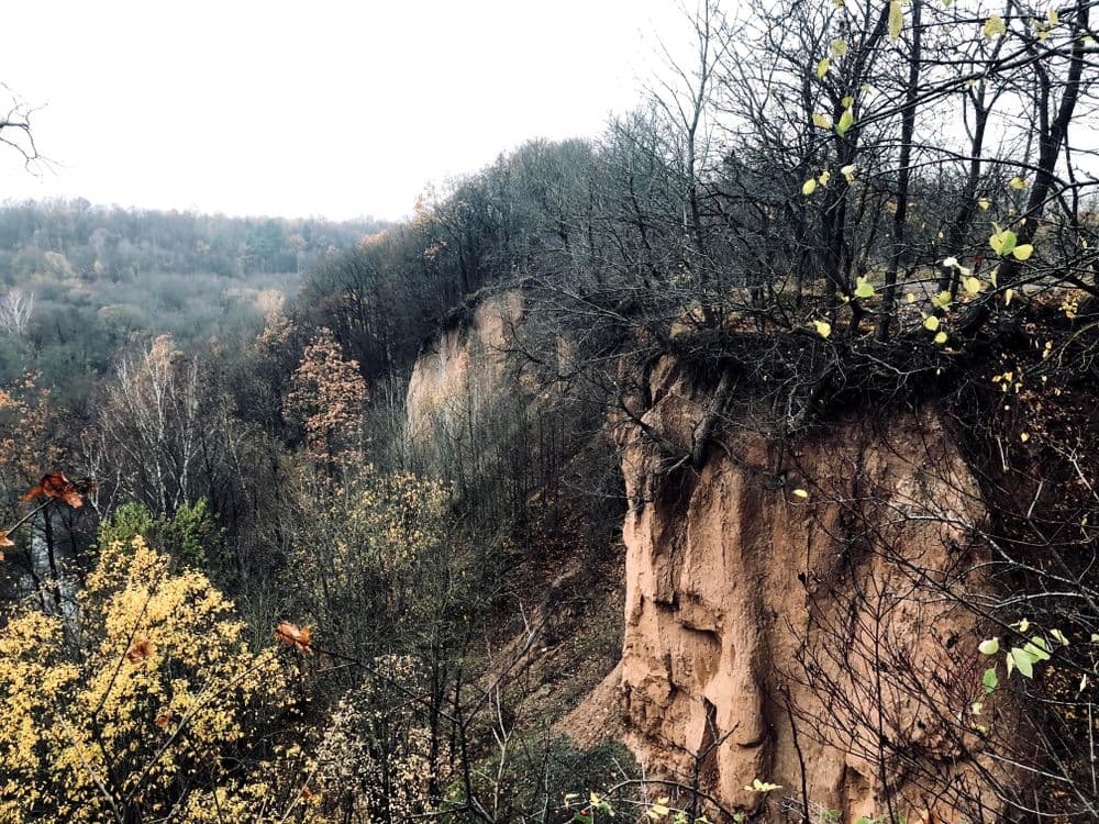 Jiesios pažintinis takas #3