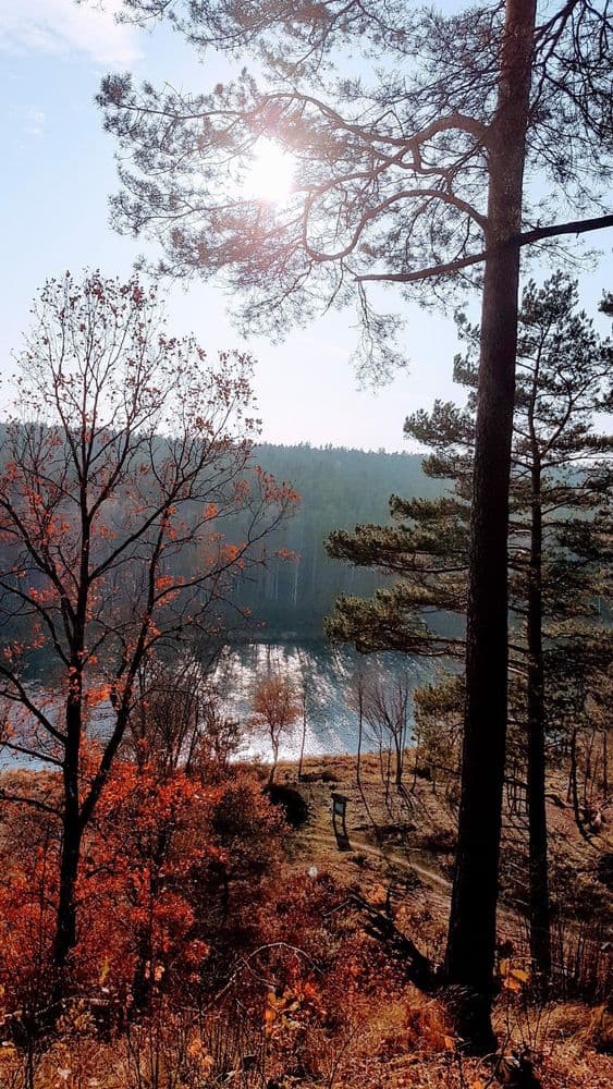 Šilėnų pažintinis takas #2