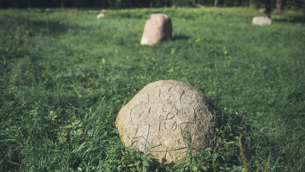 Naujosios Vilnios pilkapynas #4