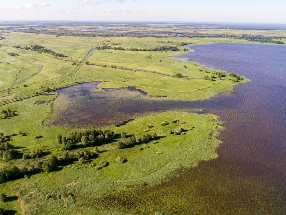 Krokų lankos ežeras #3