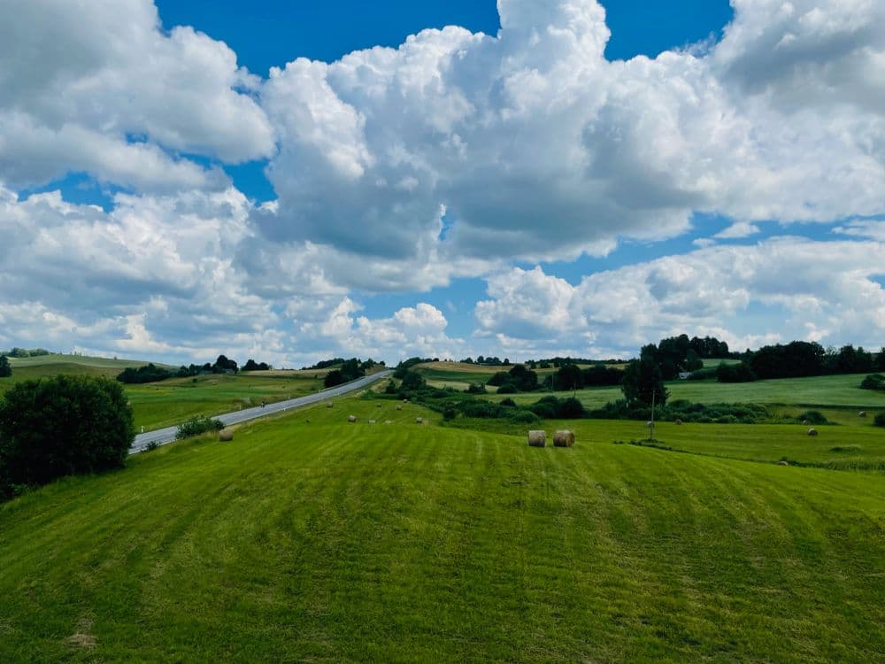 Lepelionių piliakalnis #3