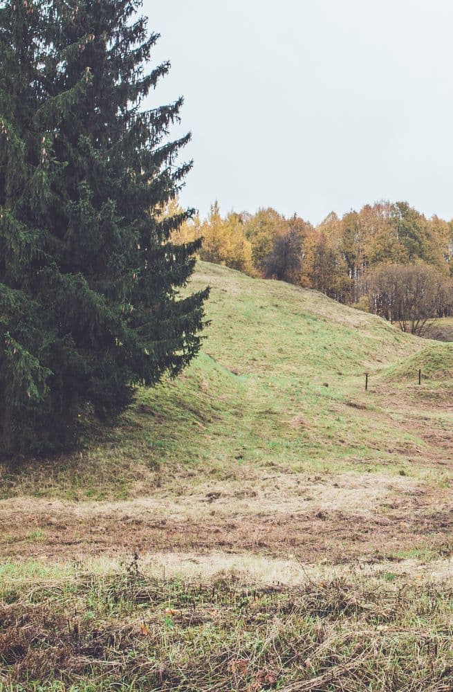 Ribiškių pažintinis takas