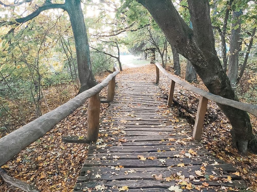 Gelgaudiškio pažintinis takas