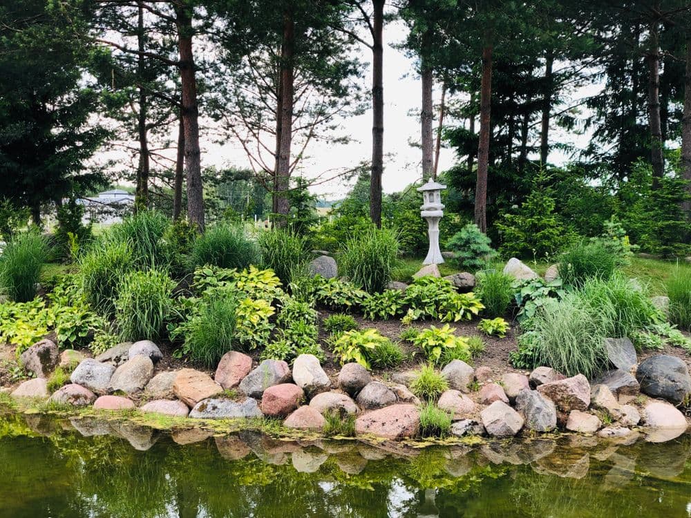 Dubingių žirgynas #3