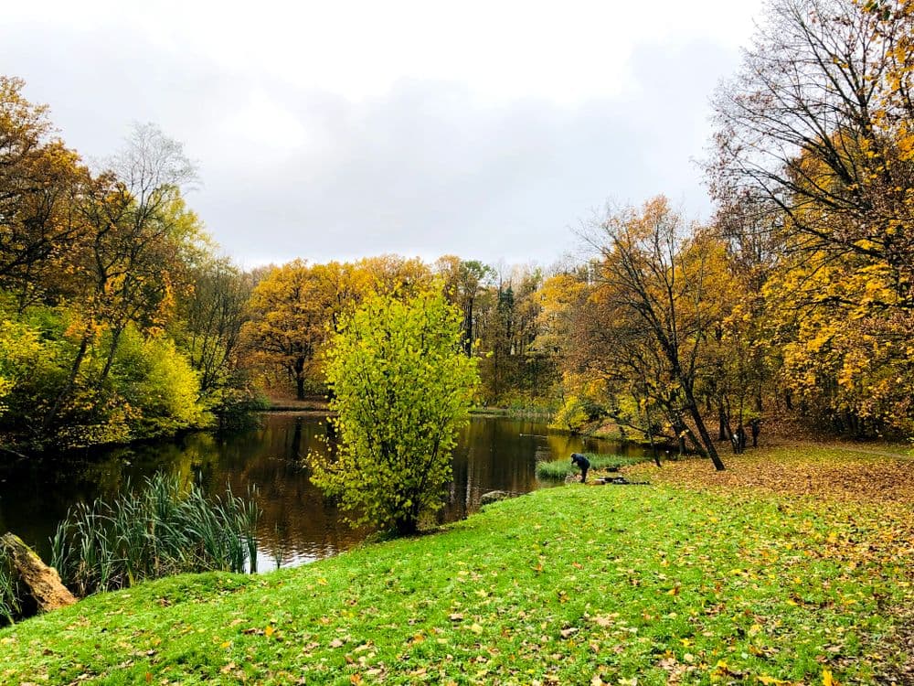 Markučių parkas #4