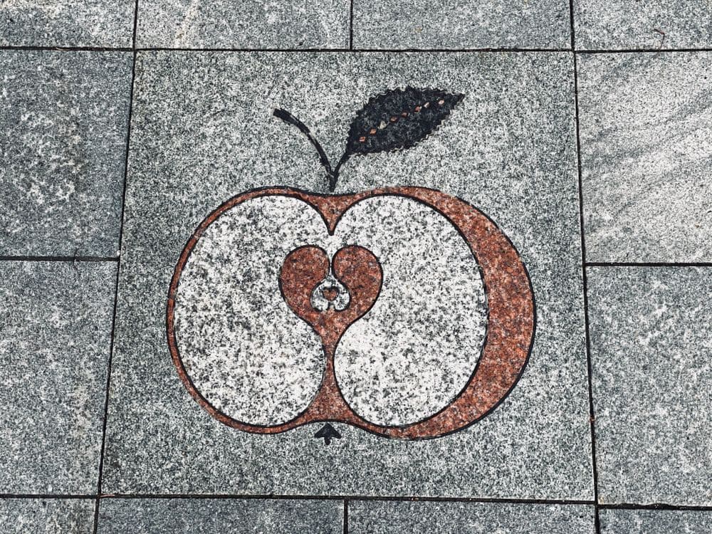 Plytelė „Obuoliukas“ #3