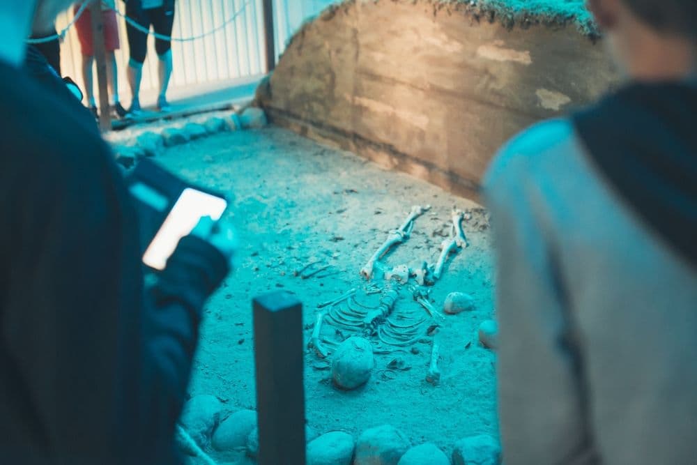 Pilkapio ekspozicija ir akmens amžiaus būstas Palūšėje